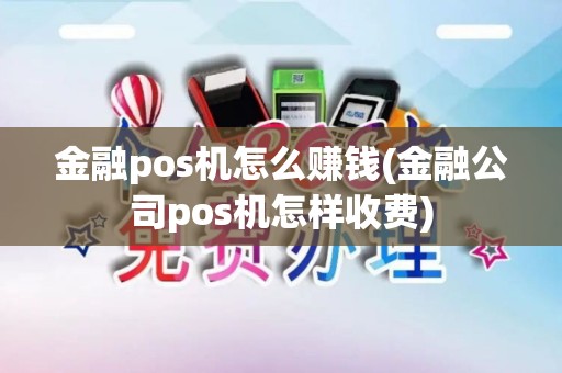 金融pos机怎么赚钱(金融公司pos机怎样收费)