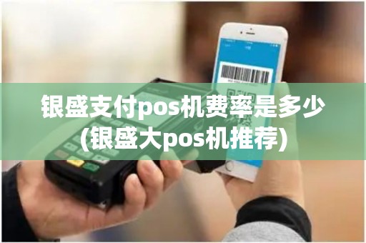 银盛支付pos机费率是多少(银盛大pos机推荐)