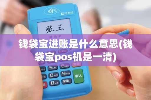 钱袋宝进账是什么意思(钱袋宝pos机是一清)