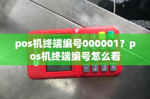 pos机终端编号000001？pos机终端编号怎么看