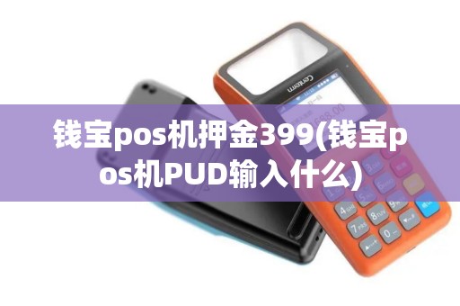钱宝pos机押金399(钱宝pos机PUD输入什么)