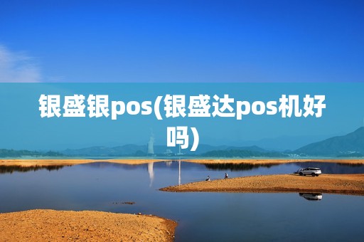 银盛银pos(银盛达pos机好吗)