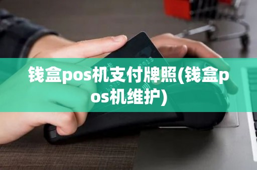钱盒pos机支付牌照(钱盒pos机维护)