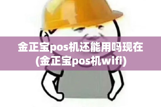 金正宝pos机还能用吗现在(金正宝pos机wifi)