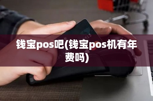 钱宝pos吧(钱宝pos机有年费吗)