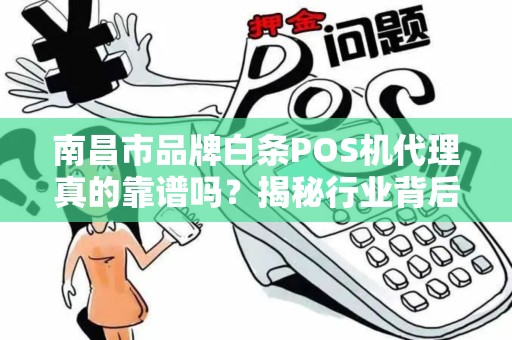南昌市品牌白条POS机代理真的靠谱吗？揭秘行业背后的3大陷阱与机遇！