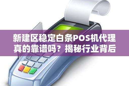 新建区稳定白条POS机代理真的靠谱吗?揭秘行业背后的真相! 新建区稳定白条POS机代理真的靠谱吗?揭秘行业背后的真相!