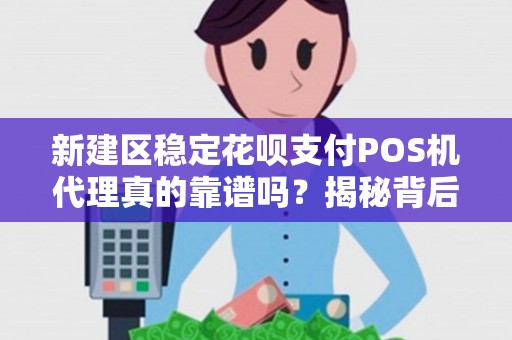 新建区稳定花呗支付POS机代理真的靠谱吗？揭秘背后的风险与机遇！