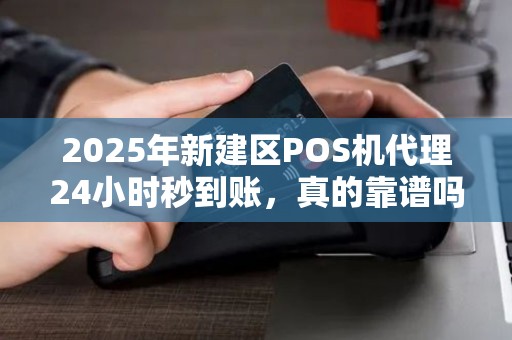 2025年新建区POS机代理24小时秒到账，真的靠谱吗？揭秘背后真相！