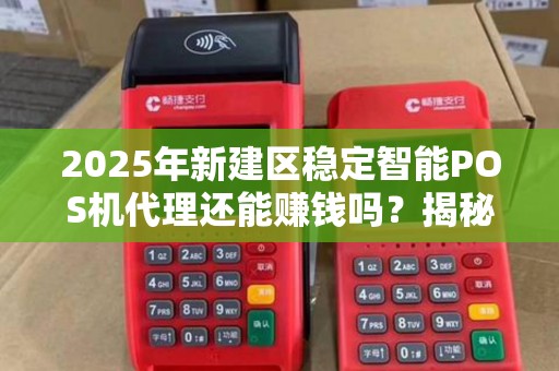 2025年新建区稳定智能POS机代理还能赚钱吗？揭秘行业真相与盈利关键！
