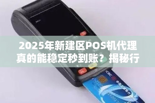 2025年新建区POS机代理真的能稳定秒到账？揭秘行业内幕与避坑指南！
