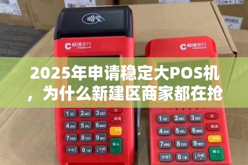 2025年申请稳定大POS机，为什么新建区商家都在抢？