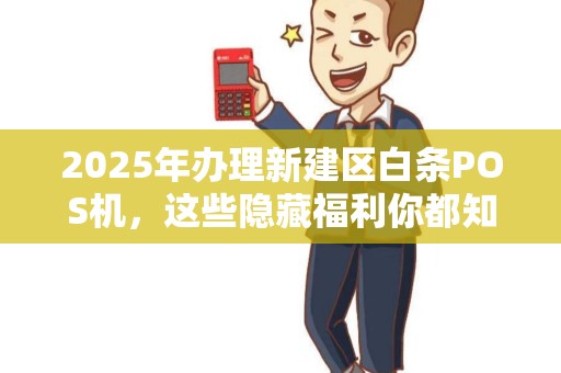 2025年办理新建区白条POS机，这些隐藏福利你都知道吗？