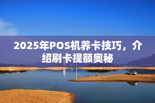 2025年POS机养卡技巧，介绍刷卡提额奥秘