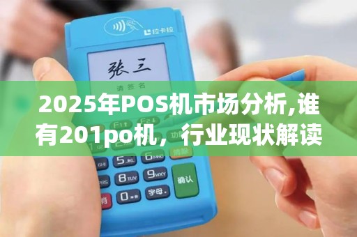 2025年POS机市场分析,谁有201po机，行业现状解读