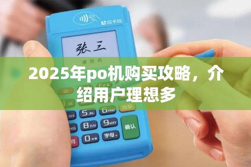 2025年po机购买攻略，介绍用户理想多
