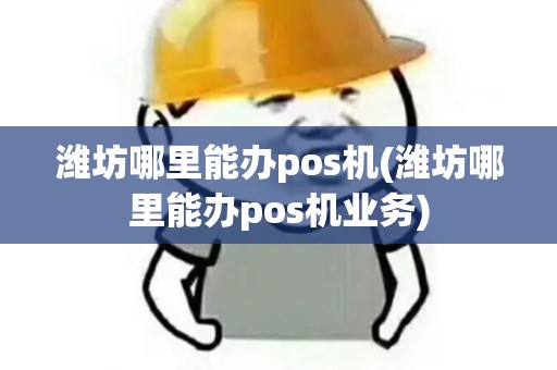 潍坊哪里能办pos机(潍坊哪里能办pos机业务)