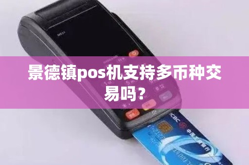景德镇pos机支持多币种交易吗？