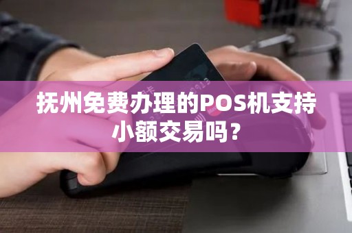 抚州免费办理的POS机支持小额交易吗？