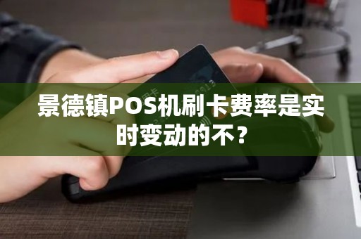 景德镇POS机刷卡费率是实时变动的不? 景德镇POS机刷卡费率是实时变动的不?