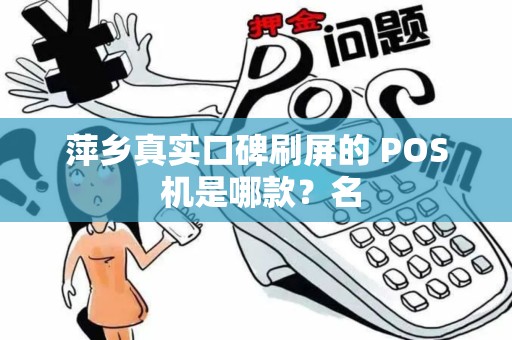 萍乡真实口碑刷屏的 POS 机是哪款？名