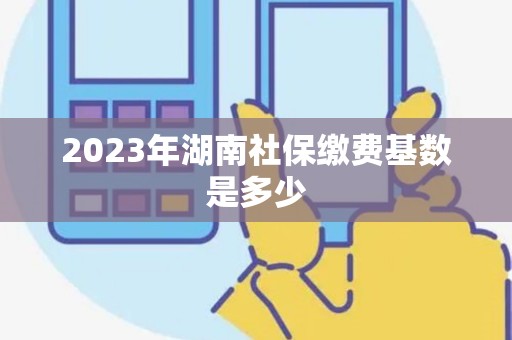 2023年湖南社保缴费基数是多少