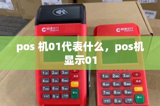 pos 机01代表什么，pos机显示01