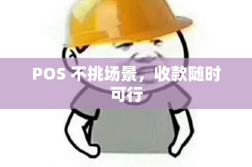 POS 不挑场景，收款随时可行