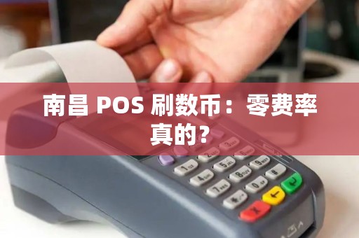 南昌 POS 刷数币：零费率真的？