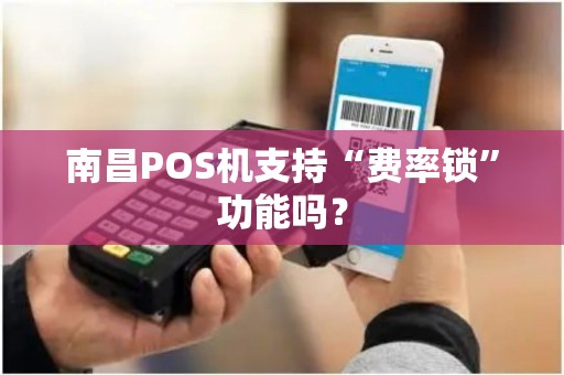 南昌POS机支持“费率锁”功能吗？