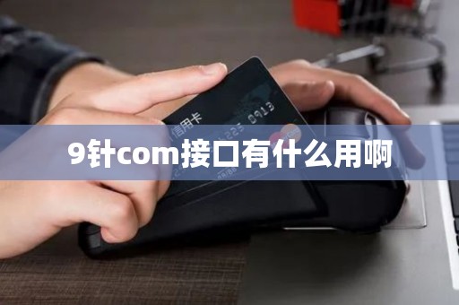 9针com接口有什么用啊