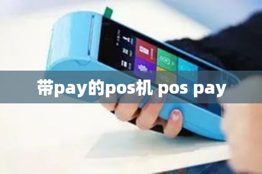 带pay的pos机 pos pay
