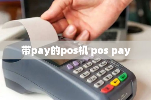带pay的pos机 pos pay