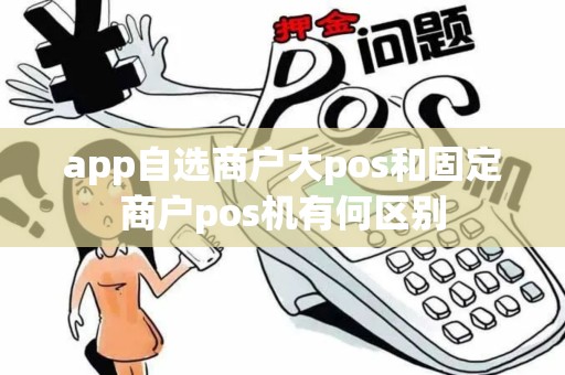 app自选商户大pos和固定商户pos机有何区别