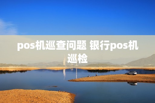 pos机巡查问题 银行pos机巡检
