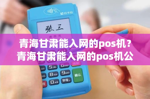 青海甘肃能入网的pos机？青海甘肃能入网的pos机公司