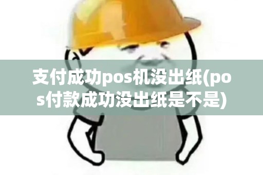 支付成功pos机没出纸(pos付款成功没出纸是不是)