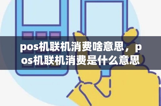 pos机联机消费啥意思，pos机联机消费是什么意思