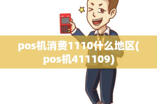 pos机消费1110什么地区(pos机411109)
