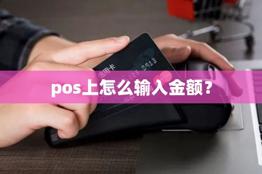 pos上怎么输入金额？