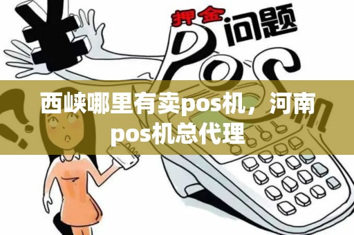 西峡哪里有卖pos机，河南pos机总代理