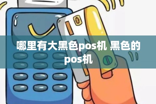 哪里有大黑色pos机 黑色的pos机