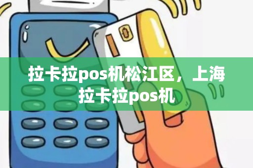 拉卡拉pos机松江区，上海拉卡拉pos机