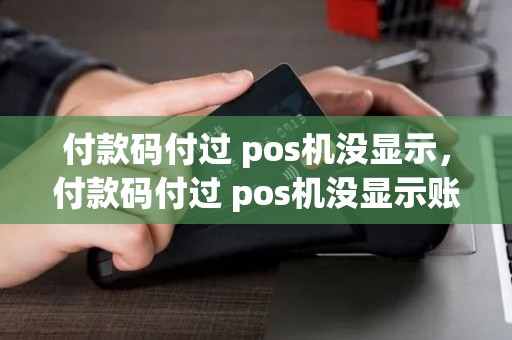 付款码付过 pos机没显示，付款码付过 pos机没显示账单
