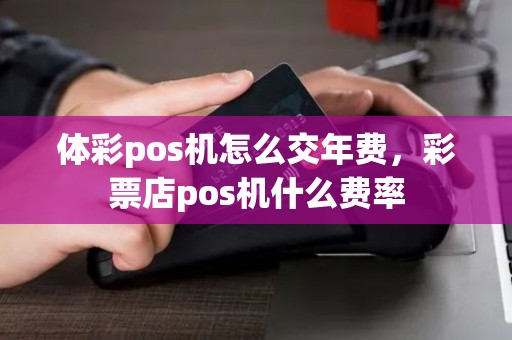 体彩pos机怎么交年费，彩票店pos机什么费率