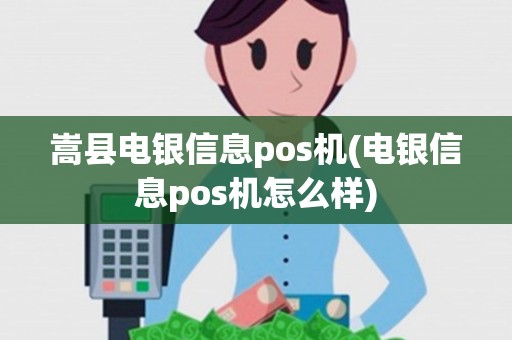 嵩县电银信息pos机(电银信息pos机怎么样)