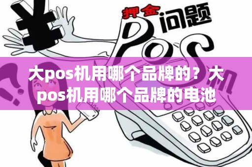 大pos机用哪个品牌的？大pos机用哪个品牌的电池