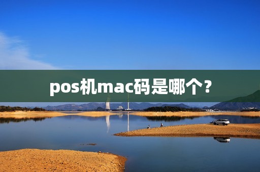 pos机mac码是哪个？