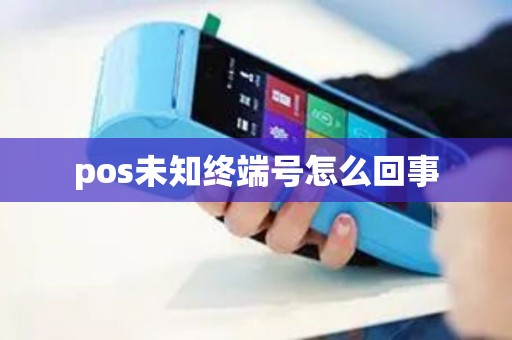 pos未知终端号怎么回事