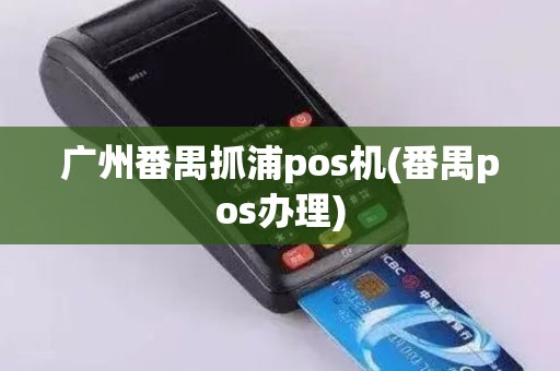 广州番禺抓浦pos机(番禺pos办理)